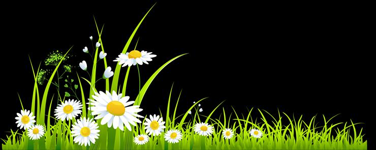 Stokrotki margaretki - spring-grass-clipart-spring-grass.png