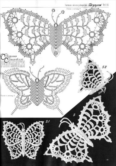 MOTYLE1 - 451.jpg