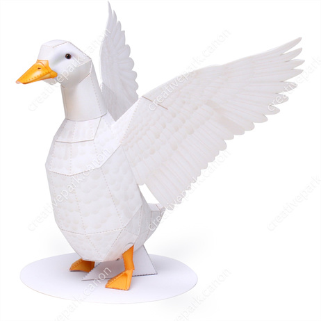 The birds - Duck Male, Beating Its Wings.jpg