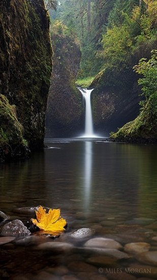 Grafika Natura - Awesome_Waterfall.jpg