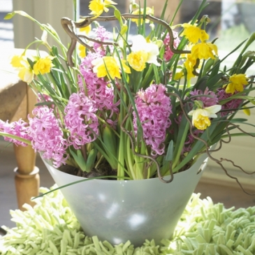 Kompozycje  kwiatowe  wiosna  Wielkanoc - hiacynt_waza_storczyki.jpg