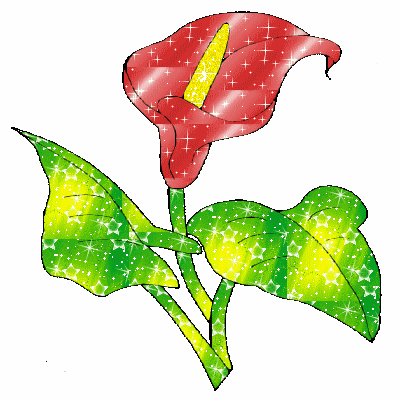 Gify-Kwiaty - kwiat3222_Animation.gif