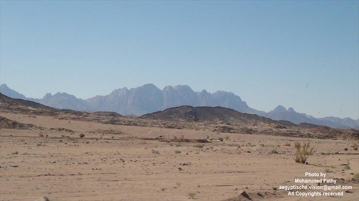 Sinai - Synaj 26.jpg