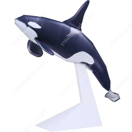 Marine Animals - Orca.jpg