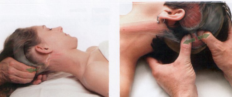 Anatomia masażu - 3-6.JPG