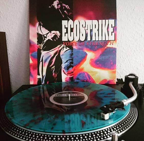 Ecostrike - Voice of Strength - 28766903_1637001199679250_6398997995362189312_n.jpg