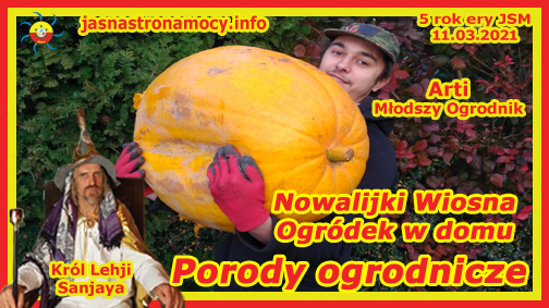 Porody ogrodnicze Nowalijki Wiosna Domowy ogród - Porody ogrodnicze Nowalijki Wiosna Domowy ogród.jpg