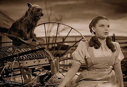 Clip cover - Somewhere Over the Rainbow - The Wizard of Oz 1_8 Movie CLIP 1939 HD-720p.jpg