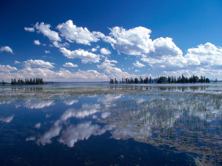 Krajobrazy różne - Yellowstone-Lake,-Yellowstone-National-Park,-Wyoming.jpg