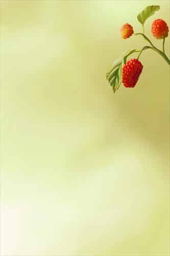 ROMANTYCZNE - Summer Bigberries 2.jpg