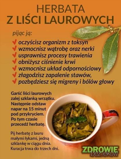 liść laurowy - herbata z liści laurowych.jpg